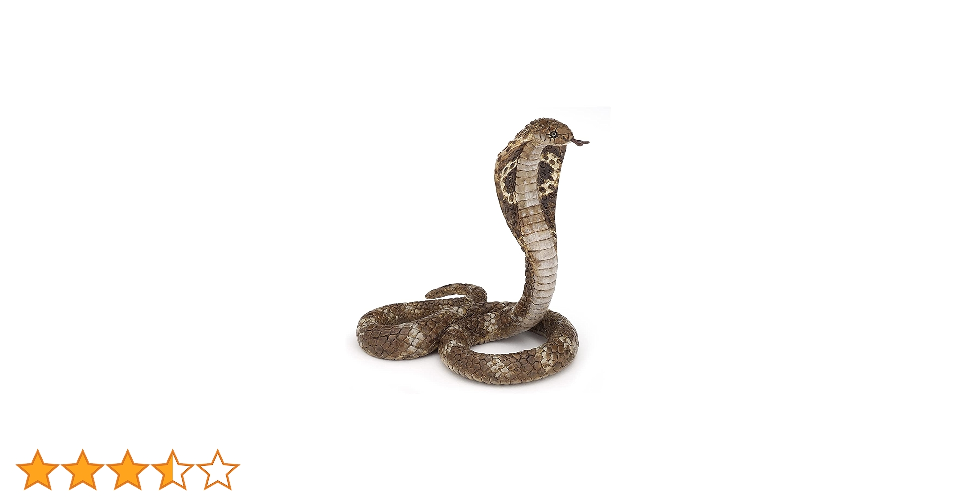 61TD1Bhcj-L.jpg_BO30,255,255,